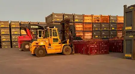 Worker momentarily trapped between sea containers